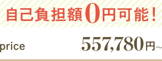 自己負担額0円可能!price555,780円